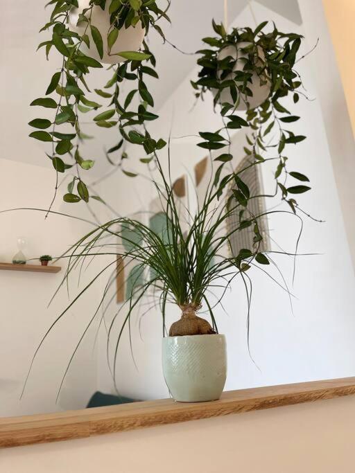 Cocon Douillet Pres De La Gare. Apartment Нанси Екстериор снимка