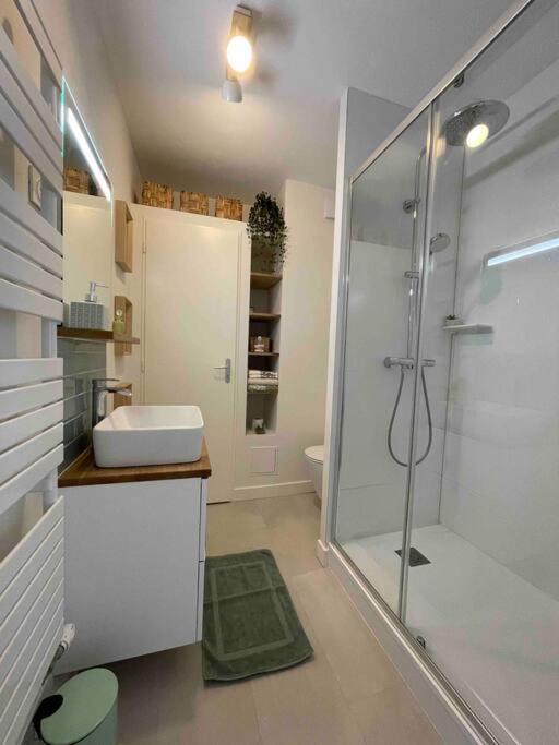 Cocon Douillet Pres De La Gare. Apartment Нанси Екстериор снимка